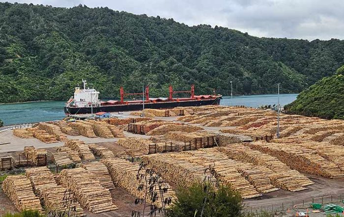 alani-loading-in-picton-feature