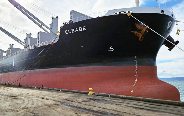 elbabe-loading-wellington